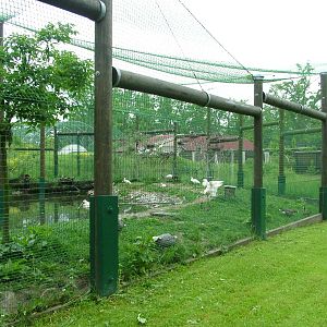 Aviary at Ohrada, 26/05/10