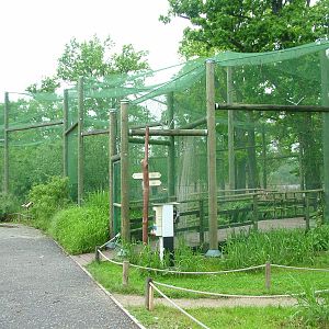 Coastal aviary at Ohrada, 26/05/10