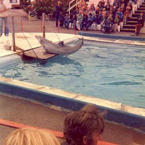 Scarborough Marineland and Zoo - Mid 1970s