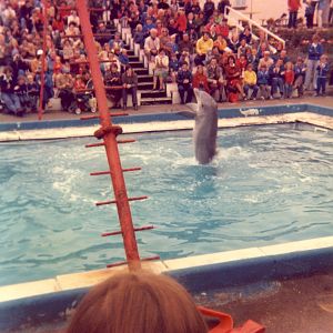 Scarborough Marineland and Zoo - Mid 1970s