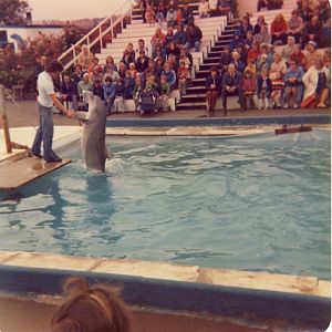 Scarborough Marineland and Zoo - Mid 1970s