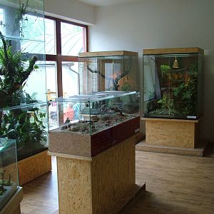 Terrarium interior at Ohrada, 26/05/10