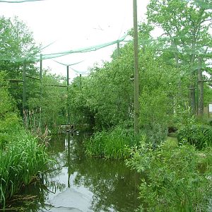 Coastal aviary at Ohrada, 26/05/10