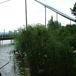 Lakeside aviary at Ohrada, 26/05/10