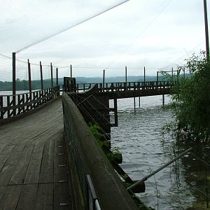 Lakeside aviary at Ohrada, 26/05/10