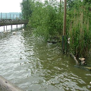 Lakeside aviary at Ohrada, 26/05/10