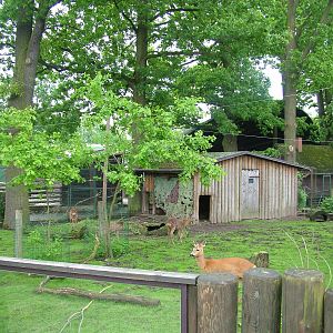 Lakeside aviary at Ohrada, 26/05/10