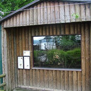 Rabbit and Chipmunk exhibit at Ohrada, 26/05/10