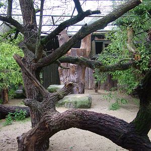 Lynx exhibit at Ohrada, 26/05/10