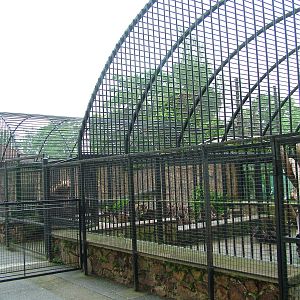 Brown Bear exhibit at Ohrada, 26/05/10