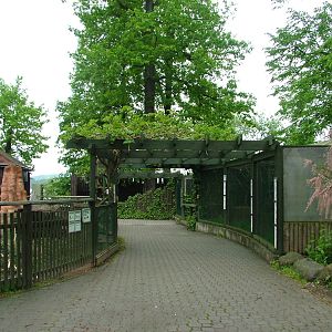 Australian area at Ohrada, 26/05/10