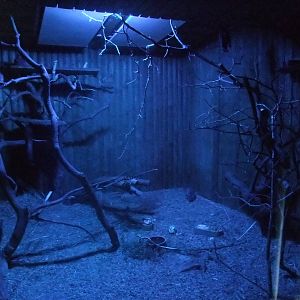 Nocturnal exhibit at Ohrada, 26/05/10