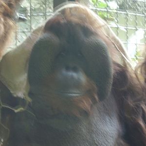 Pssst...there's a bag on your head.