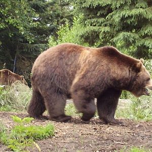 Just passing through...