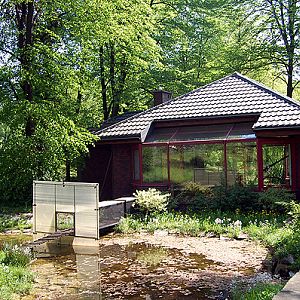Black-and-white Ruffed Lemur exhibit