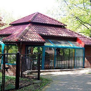 American Flamingo's bulding