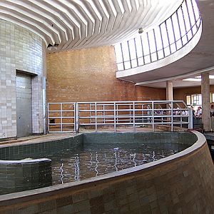 hippo's and elephant's exhibit