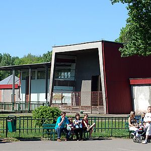 Giraffes indoor building