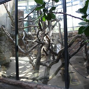 Indoor orangutan area - 4 June 2010