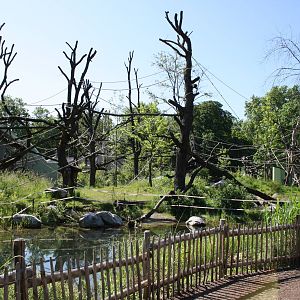 Outside ape area - 4 June 2010