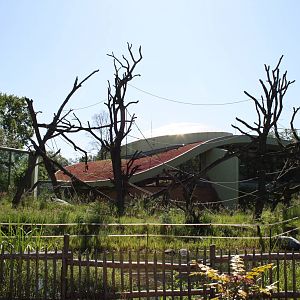 Outside ape area - 4 June 2010