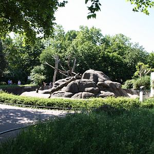 Baboon pit - 4 June 2010