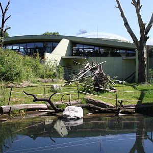 Outside ape area - 4 June 2010