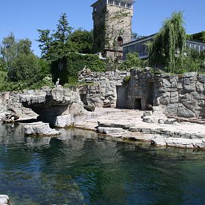 Fur seal pool - 4 June 2010