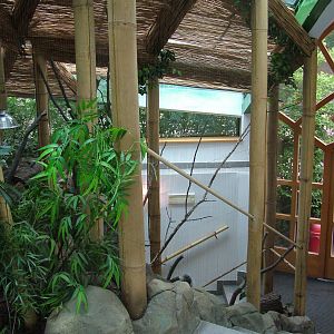 Giant Squirrel exhibit at Brno, 27/05/10