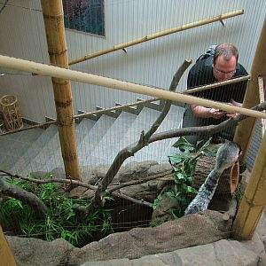 Giant Squirrel exhibit at Brno, 27/05/10