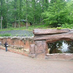Meerkat exhibit at Brno, 27/05/10