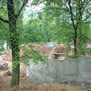 Beringia construction at Brno, 27/05/10