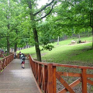 Alpaca exhibit at Brno, 27/05/10