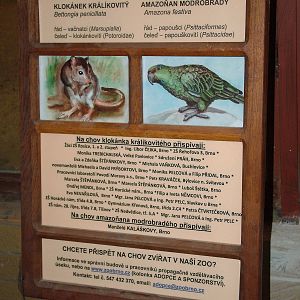 Parrot House signage at Brno, 27/05/10