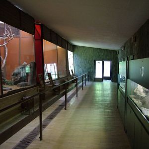 Parrot House interior at Brno, 27/05/10