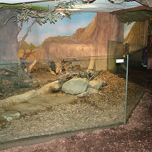 Agouti indoor exhibit at Brno, 27/05/10