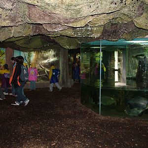 Tropical House interior at Brno, 27/05/10