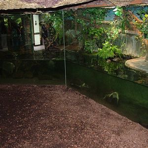 Tropical House interior at Brno, 27/05/10