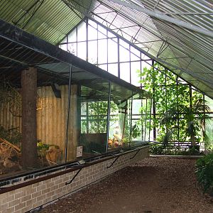 Tropical House interior at Brno, 27/05/10