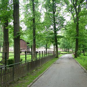 Cattle exhibits at Brno, 27/05/10