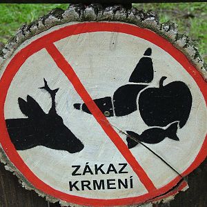 No Feeding sign at Brno, 27/05/10