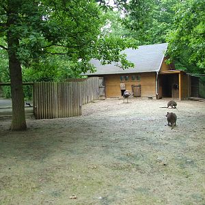 Australian paddock at Brno, 27/05/10