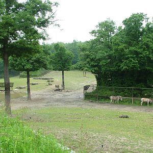 African Savannah exhibit at Brno, 27/05/10