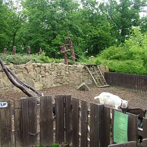 Children's Zoo/Play Area at Brno, 27/05/10