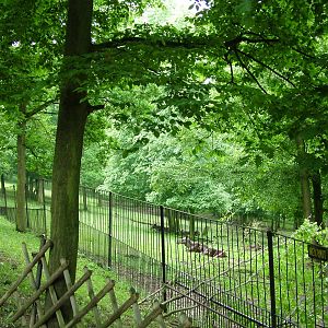 Moose exhibit at Brno, 27/05/10