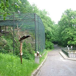 Eagle aviary and bear viewing at Brno, 27/05/10