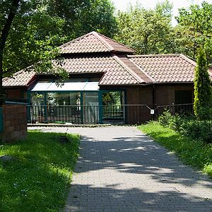 flamingo's indoor enclosure