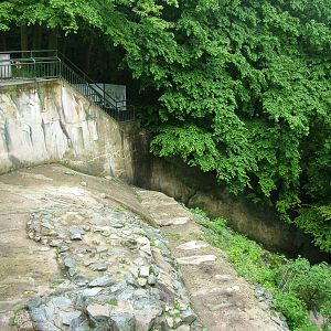Polar Bear exhibit at Brno, 27/05/10