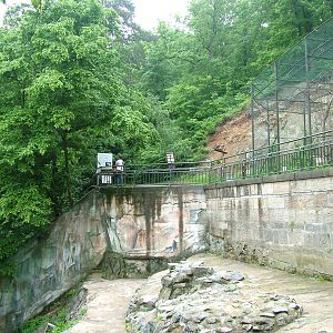 Polar Bear exhibit at Brno, 27/05/10