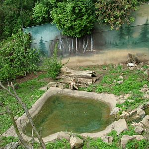 Arctic Fox exhibit at Brno, 27/05/10